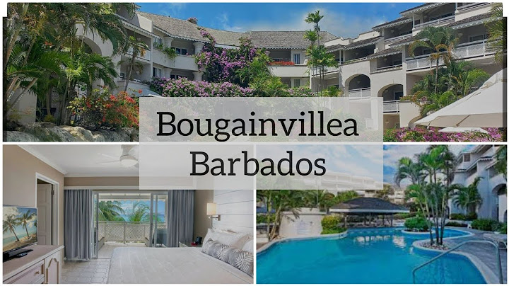 Bougainvillea Hotel and Resort Barbados Review