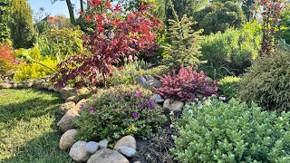 Новые растения из Park der Gärten: ХОСТА, РОДОДЕНДРОН , ХОХЛАТКА в моём саду 🌟 Neue Pflanzen