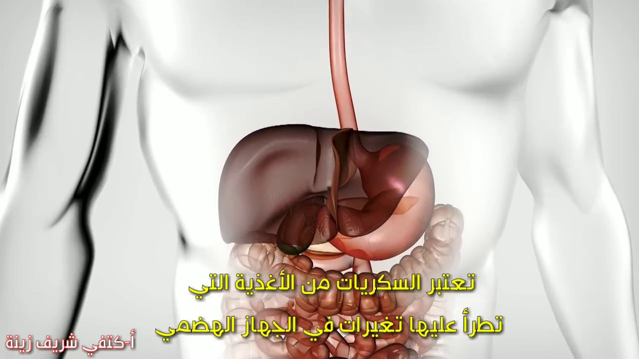 فيديو رائع حول تنظيم نسبة السكر في الدم للسنة ثانية ثانوي |علوم تجريبية