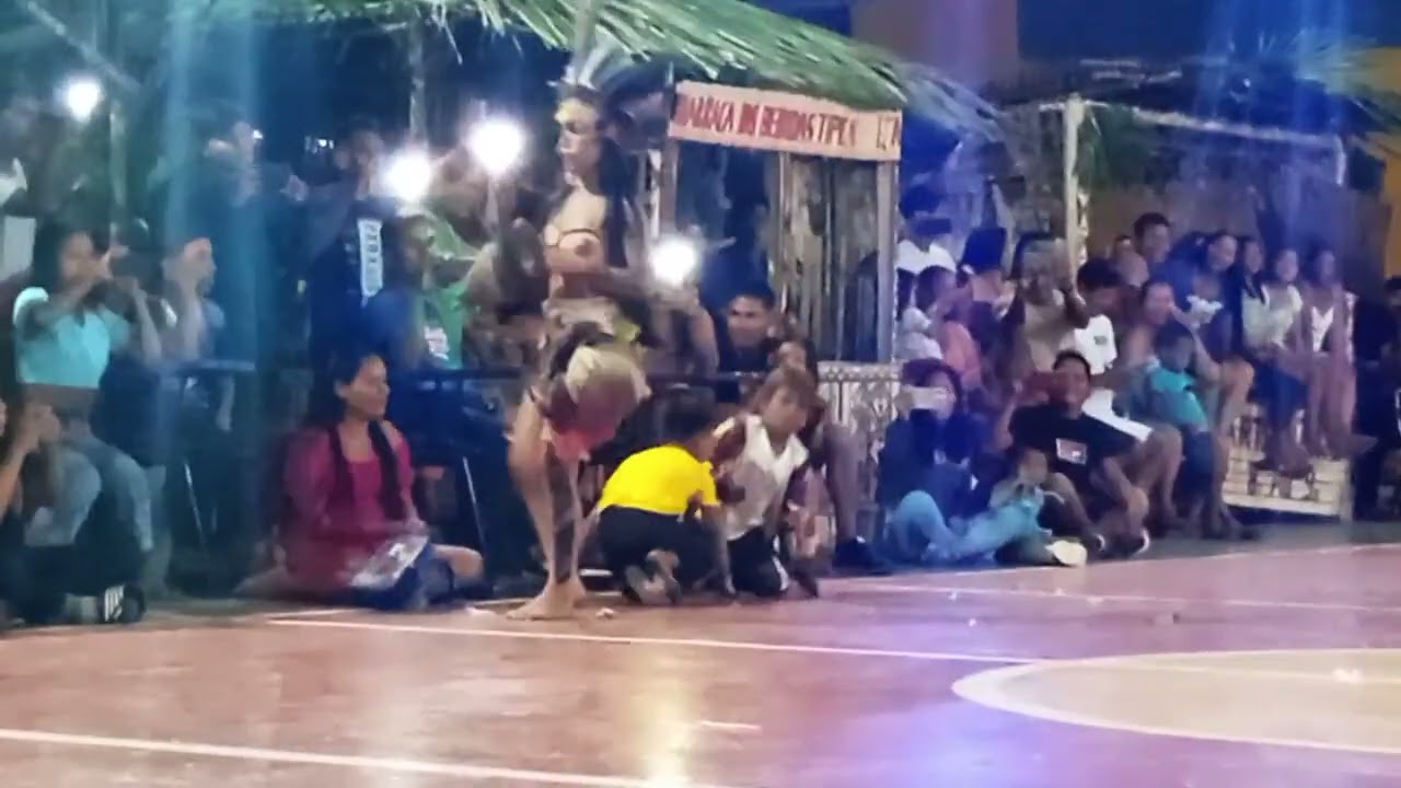 Rainhas Indígena 2025 Clã de (Onça)