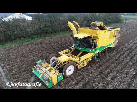 Harvesting potatoes in Holland under wet conditions Ploeger AR-4BX