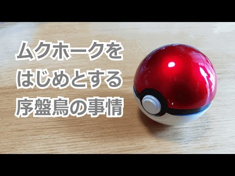 【ポケモン】ムクホークをはじめとする序盤鳥の事情