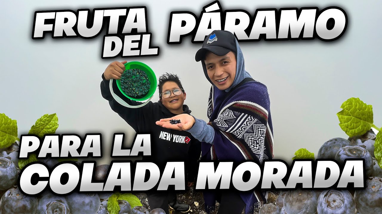 BUSCANDO MORTIÑOS EN PLENO PÁRAMO | John Valverde