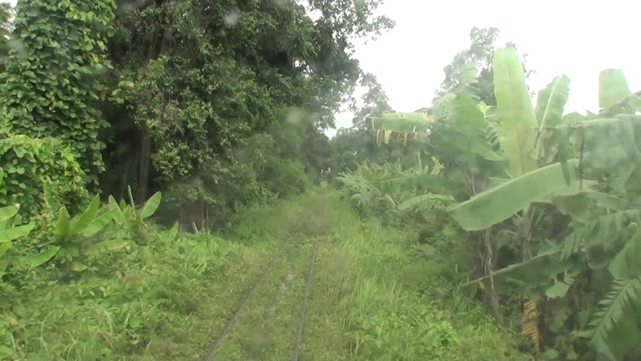 ミャンマー国鉄(MR) 元JR北海道キハ141 Pyinmana-Taungdwingyi線前面展望(Min Byin→Da Lang Yun)