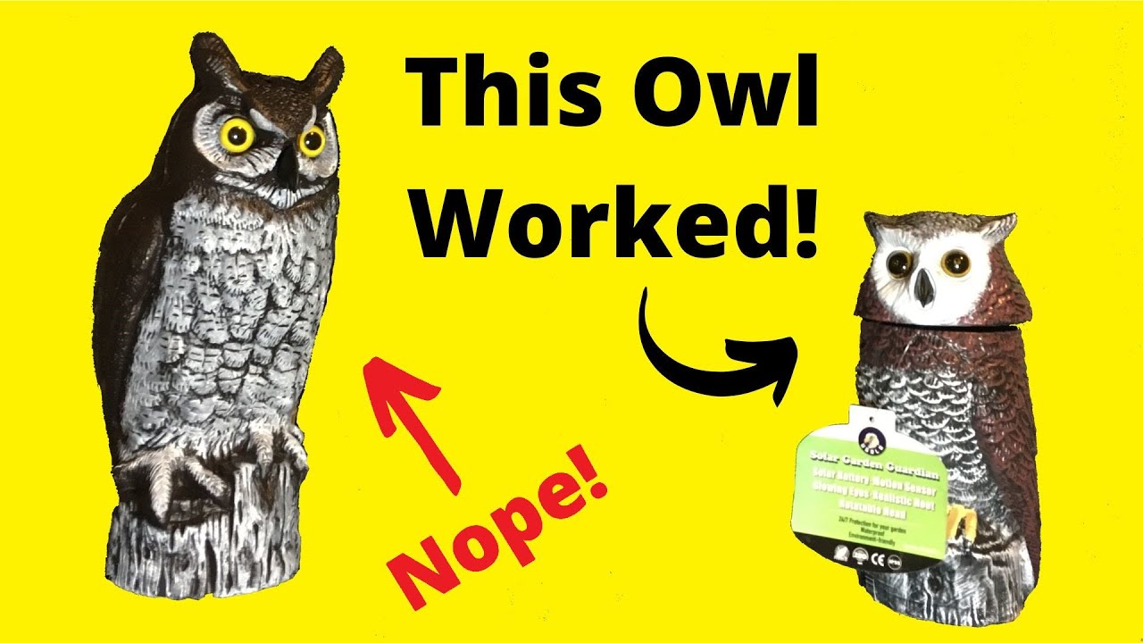 Best Owl for Woodpecker Deterrent Ugold Solar Motion Sensor Owl vs Dalen Fake Owl Scarecrow