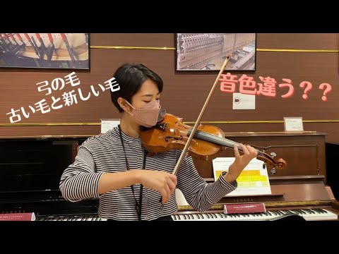 ヴァイオリングリース　Silk 音の違いがわかる ヴァイオリングリース Silk 音の違いがわかる弦楽器奏者のかたへ