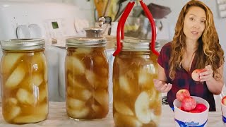 Apple Harvest Trick that Doubles Storage Time | The Only APPLE PIE Filling Recipe You'll Ever Need