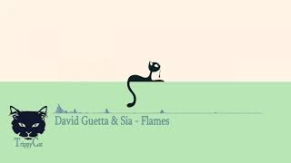 David Guetta & Sia   Flames