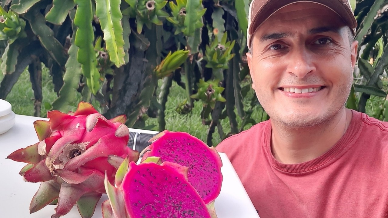 Pitaya Vermelho Mexicana, abrindo e degustando!