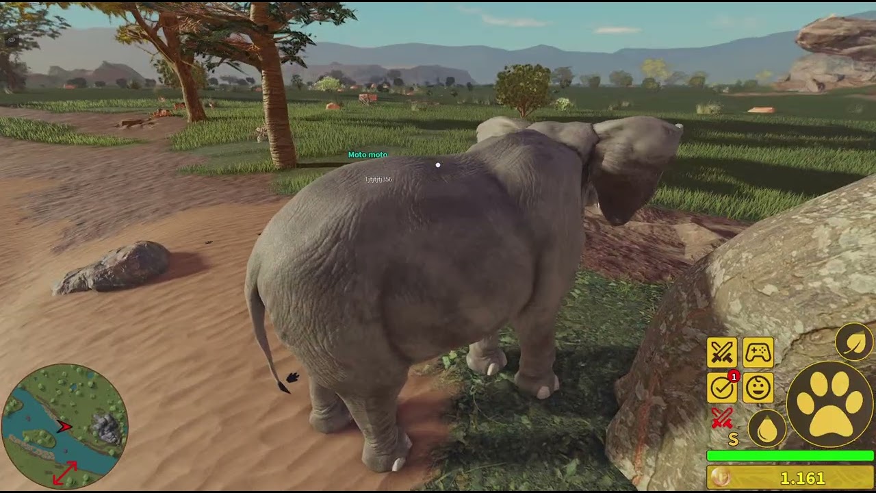 حياه فيل من الصغر إلى الدر (بارت 3)