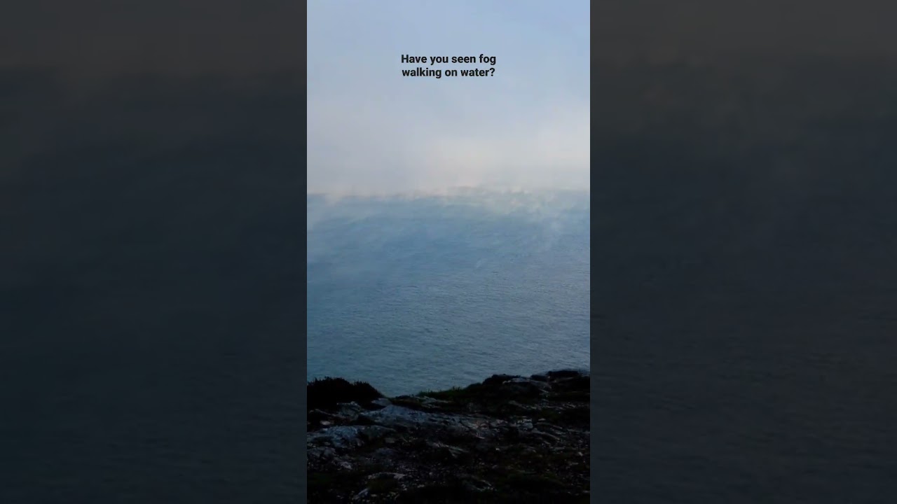 Fog walking on water 🌊