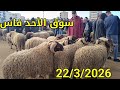 مباشرة من سوق الأحد فاس 22 3 2026 أثمنة حولي عيد الأضحى والخروف والخروفة النعجة ماعز فرجة ممتعة مباشرة من سوق الأحد فاس 22 3 2026 أثمنة حولي عيد الأضحى والخروف والخروفة النعجة ماعز فرجة ممتعة