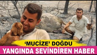 Alevlerin Arasından Mucize Doğdu