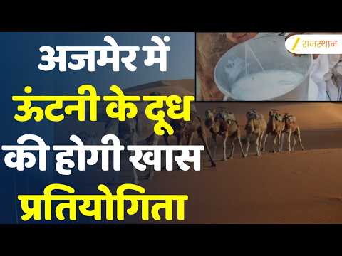 Rajasthan Culture:मारवाड़ी घोड़ों की खास चाल देख चौंक जाएंगे! Ajmer में होंगे हैरतअंगेज करतब !