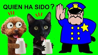 Lindo gatito o lindo perrito ¿quien se ha bebido la leche? Videos de gatos graciosos Luna y Estrella