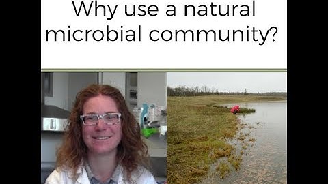Why Use a Natural Microbial Community?