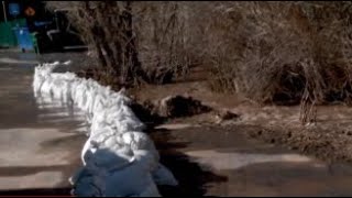 Flood advisory issued for Emigration Creek, Salt Lake's east bench
