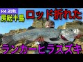 【房総半島ランカーヒラスズキ】 しかしロッドが折れました!!! #ツインパワーsw #エクスセンス