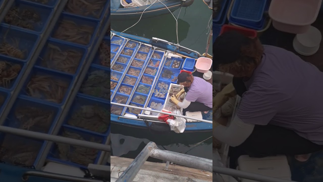 FLOATING FRESH SEA FOODS MARKET #market #friends #sea #seafood #boat #shortvideo adlı videoyu YouTube'da izle FLOATING FRESH SEA FOODS MARKET #market #friends #sea #seafood #boat #shortvideo adlı videoyu YouTube'da izle