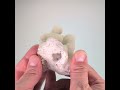 Vidéo: Calcédoine, Jalgaon, Inde, 249 grammes