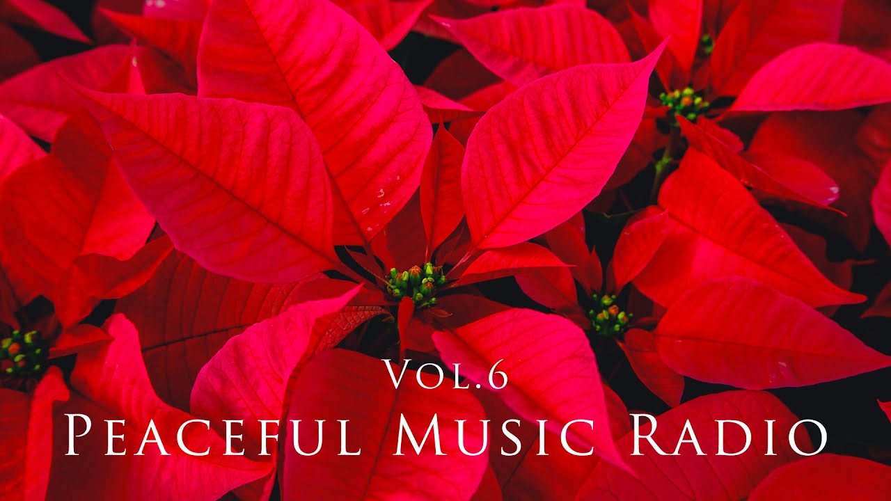 Peaceful Music Radio Vol 6 2022 12 25 Yuusuke YouTube peaceful-music-radio-vol-6-2022-12-25-yuusuke-youtube