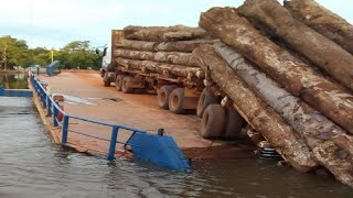 Extreme Dangerous Fast Logging Wood Truck Driving Skill Heavy Equipment Loading Climbing Working