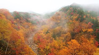 秋色に染まった十勝岳連峰