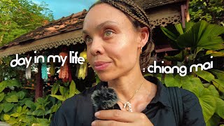 Chiang Mai, Thailand: its a productive day in my life vlog! @MisakoEnvela
