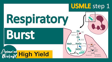 Respiratory Burst | Respiratory Burst Mechanism | What activates respiratory burst? |USMLE step 1