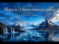 Allegro in D Minor : Camerae Lapideae