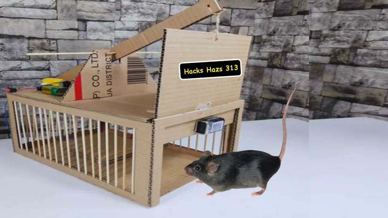 Mouse Rat Trap From Cardboard At Home DIY Easy mouse / Rat Trap YouTube