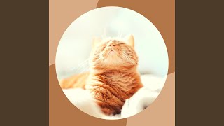 Understated Moods for Loved Cats