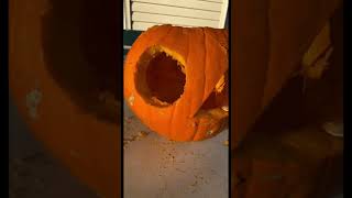 Squid Game Pumpkin