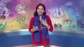 ECCE- Domains of Development - Part 3 Lesson 7