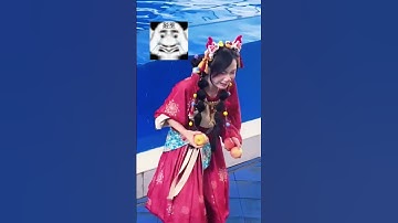 chú cá heo hất nước tới trêu chị ấy