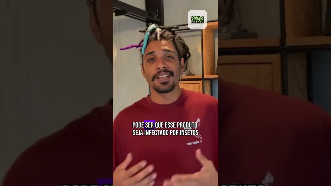 Cansado desse prensado cheio de galho e semente?