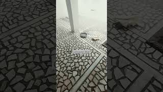 Marble Broken Design Marble Tukdi Design Marble Tukdi Chips Design Marble Design