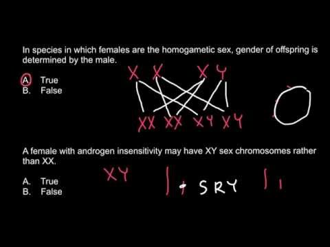 Is it possible for a female to be  XY genotype or not?