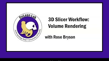 Volume Rendering   [3D Slicer Workflow]