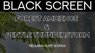 12 Hours of Forest Ambience and Thunderstorms