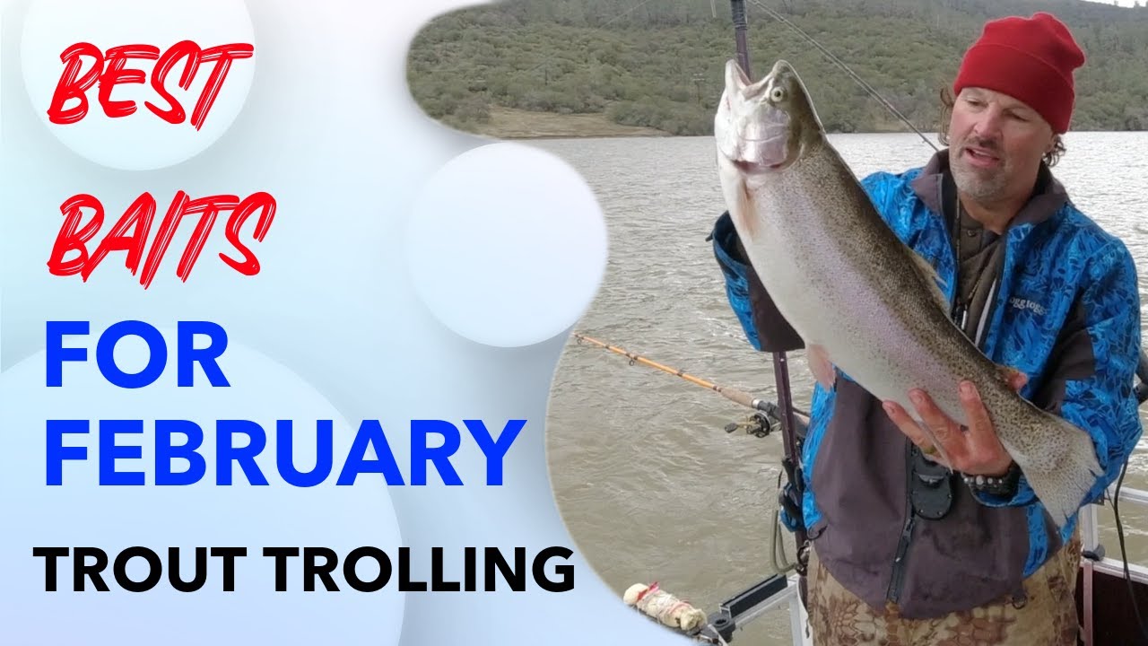 What I'm Trolling For Trout This February 