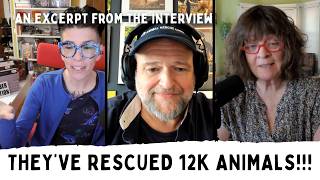 How Animal Rescue Corps Works