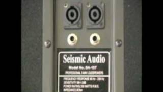 Seismic Audio SA-15T
