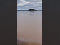ponte de Vista Alegre que lugar maravilhoso bom para pescar o final de semana #pesca