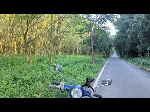 屏東萬巒某一鄉道..