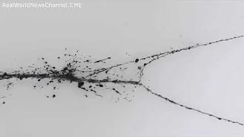Rice University: Self-Assembling Nanotubes - TeslaphoresisCarbon nanotubes in a dish assemble