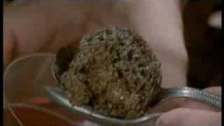 Evolution - The Evolutionary Arms Race 5of6