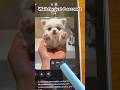 Da AI video jorawalo tareqa | د اے آئي ويډيو جوړؤلو طريقه | wadan momand #shortvideo #aivideo