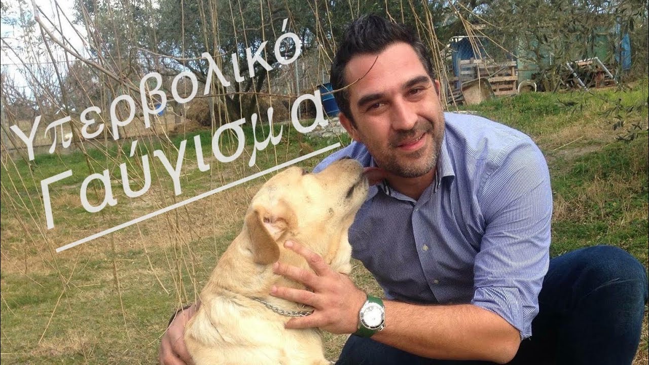 Εκπαίδευση Σκύλου - Υπερβολικό Γαβγισμα