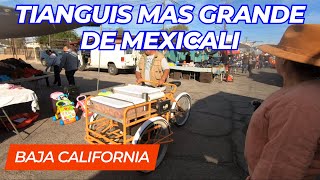 Tianguis Nueva Esperanza | Mexicali Baja California